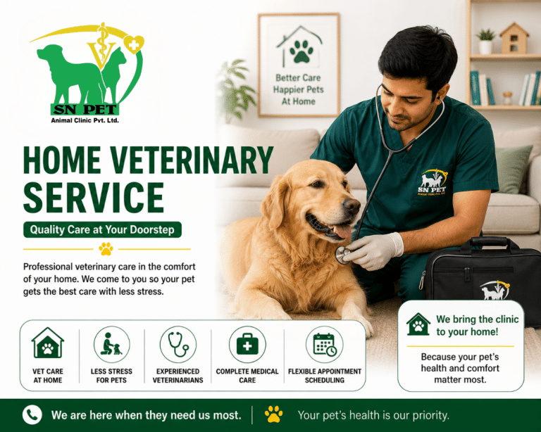 Veterinarian providing professional home veterinary services for pets in Kathmandu and Lalitpur