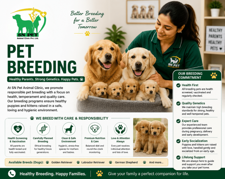 Veterinarian providing professional pet breeding consultation for healthy dogs and cats in Kathmandu and Lalitpur