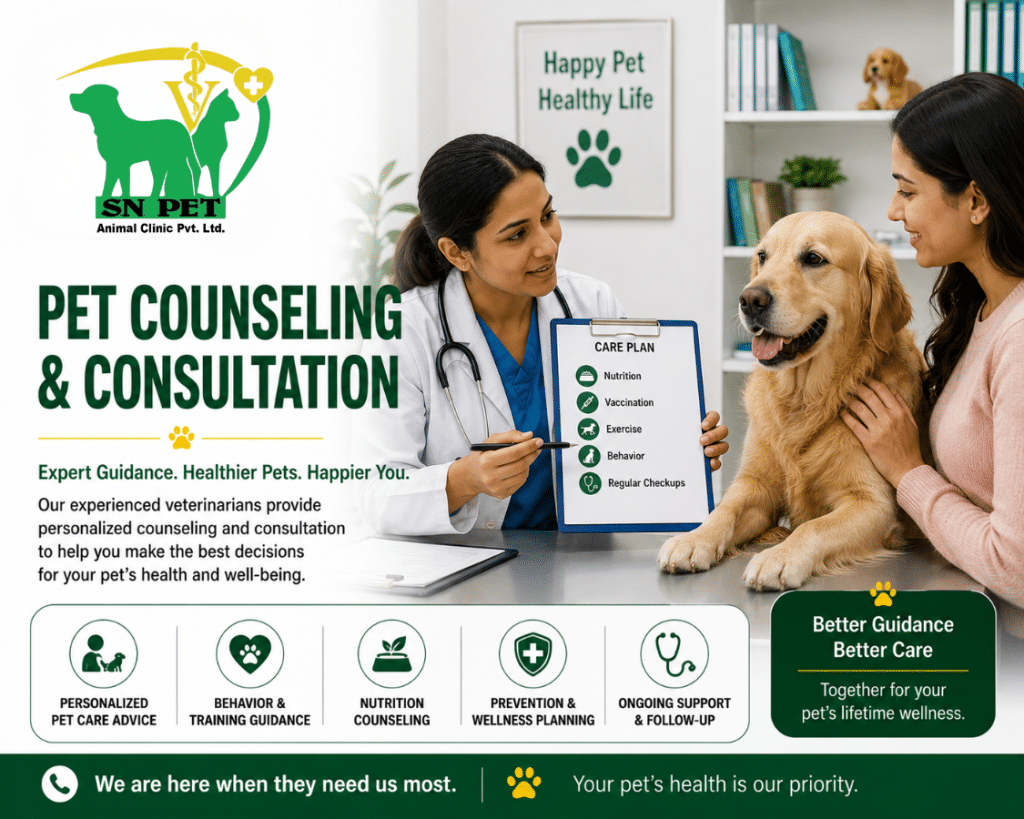 Veterinarian providing pet counseling and consultation services for dogs and cats at SN Pet Animal Clinic in Nepal