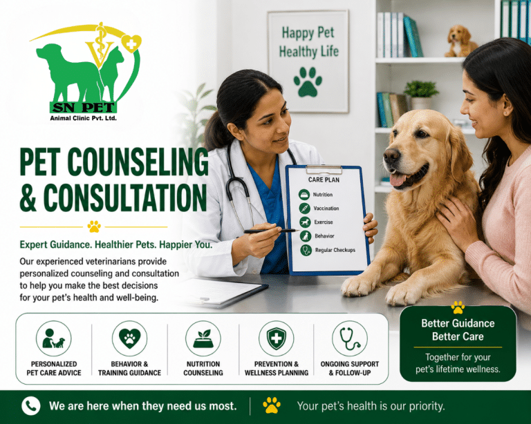 Veterinarian providing pet counseling and consultation services for dogs and cats at SN Pet Animal Clinic in Nepal