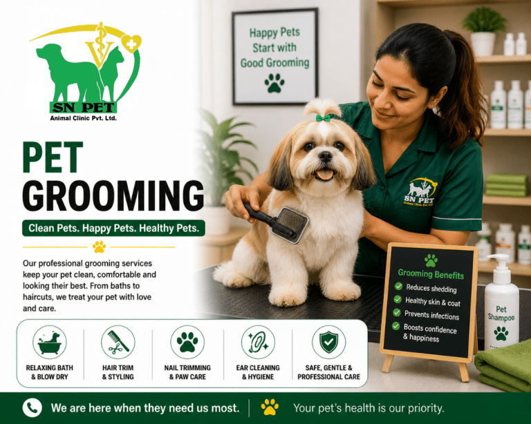 Professional pet grooming services for dogs and cats at SN Pet Animal Clinic in Kathmandu and Lalitpur
