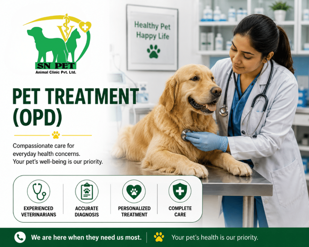 Veterinarian providing professional pet treatment and OPD consultation services at SN Pet Animal Clinic in Nepal