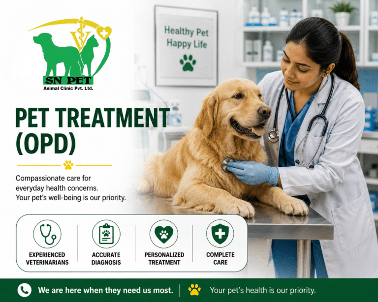 Veterinarian providing professional pet treatment and OPD consultation services at SN Pet Animal Clinic in Nepal